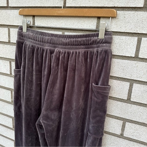 Offline by Aerie After Party Velour Jogger University Grey - Picture 8 of 14